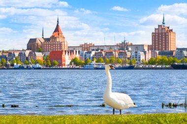 Rostock, Almanya şehrinde nehir kenarında Kuğu - tuğla binalar ve iskele, ilkbaharda geniş gökyüzü ile güzel eski şehir görünümü (kopya alanı)