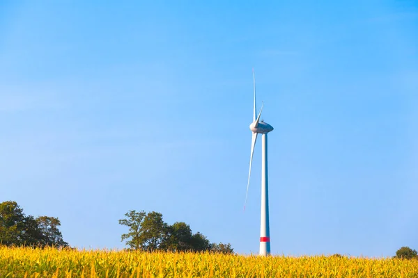 Widok Pole Kukurydzy Pojedynczej Wieży Turbiny Wiatrowej Horyzoncie Przestrzeń Kopiowania — Zdjęcie stockowe
