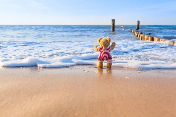 Cute Little Teddy Bear Wear Vintage Red White Striped Swimsuit — Stock Photo, Image