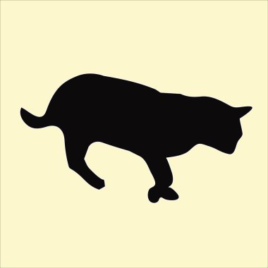 Siluet sıkıca kavrulmuş bir patiyle poz veriyor.