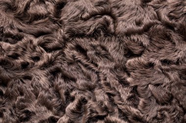 Astrakhan. Doğal kürk. Doğal kahverengi renk, yakın çekim. Doku.