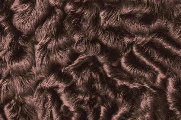 Astrachan Naturfell Braune Farbe Kastanie Nahaufnahme Textur — Stockfoto