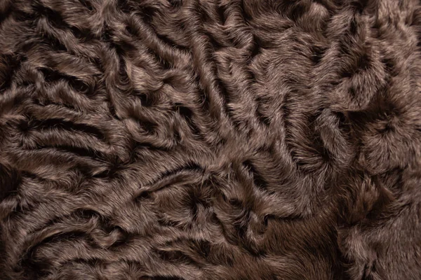 Astrakhan. Doğal kürk. Doğal kahverengi renk. Doku.