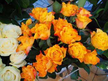 Sarı ve beyaz gül buketi