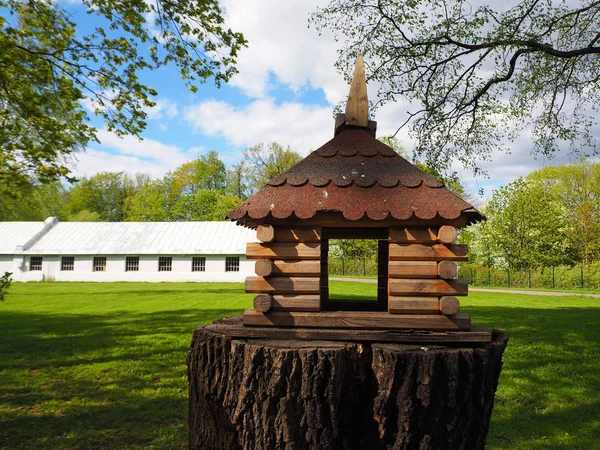 Fából Faragott Madáretető Egy Fatönkön Madáretető Parkban — Stock Fotó