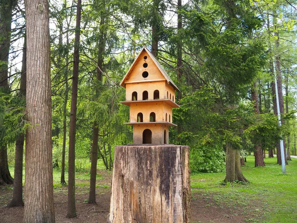 Multi Szintes Fából Faragott Birdhouse Egy Fatönkön Feeder Madarak Parkban — Stock Fotó