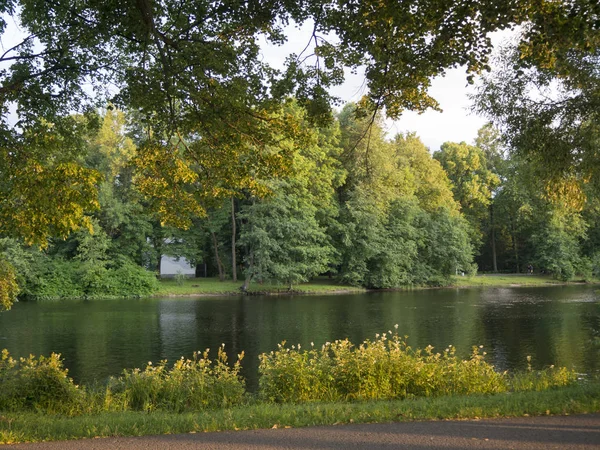 城市公园的景观与黄绿树木和河流 当夏天变成秋天的时候 季节变化概念 — 图库照片
