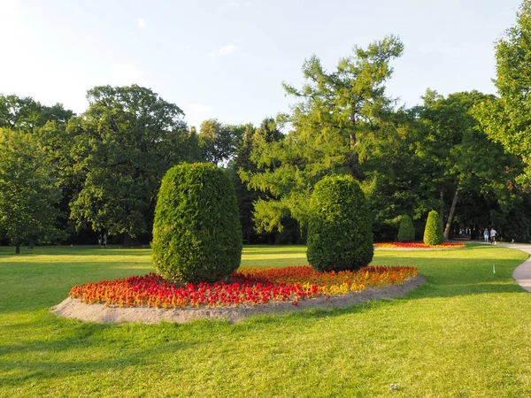公园内红 黄花的花床上生长的修剪椭圆形树木的风景 阳光照亮绿草 — 图库照片