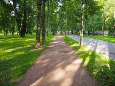 Yeşil ağaçlar ile çevrili mesafeye lider parkta arabalar için bir asfalt yolun yanında yayalar için bir yolun güneşli manzara 