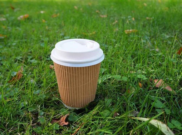 Disposable paper coffee cup on the ground among the green grass with yellow autumn leaves. Zero waste, Save the planet, Earth day, Plastic Free, Recycle, Go Green concept. Eco friendly lifestyle.
