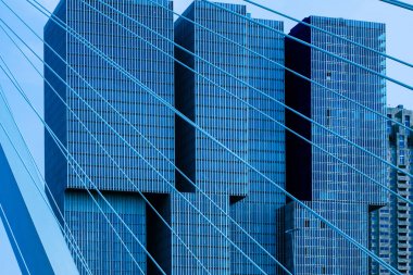 Rotterdam şehrinde gökdelenler, ön planda köprü kabloları