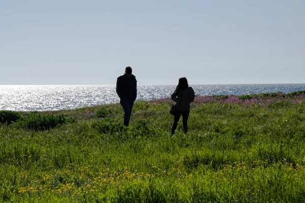 Denizin arka planında arka ışıkta birkaç kişi çimenlerin üzerinde yürüyor.