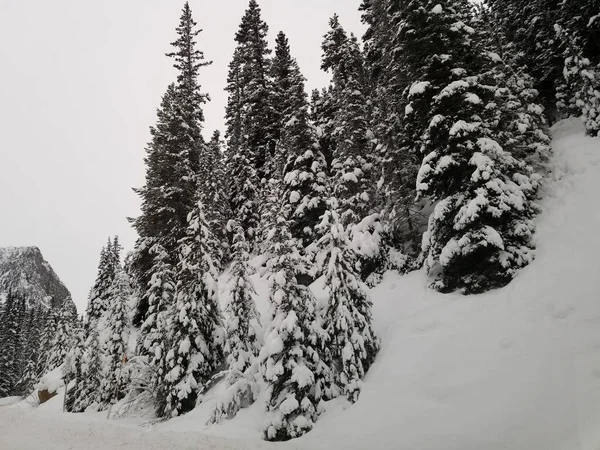 カナダの雪山の脱出 — ストック写真