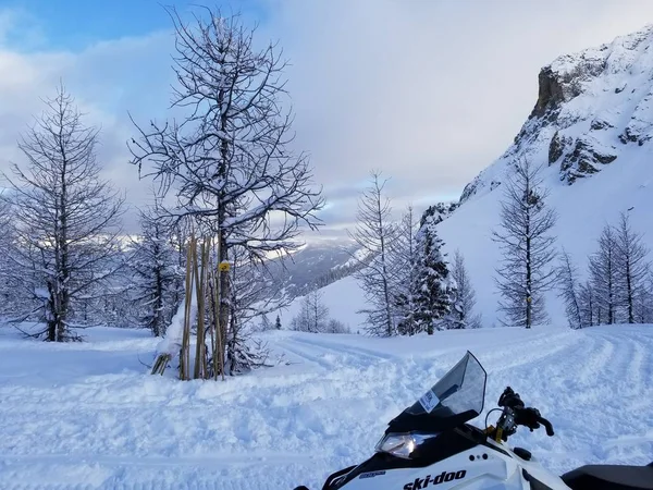 Kar Ağaçlar Ile Kanada Dağ Sahnesi — Stok fotoğraf