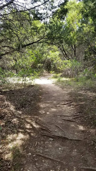 yürüyüş parkurları doğa sahnesi