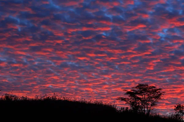 Vue Paysage du Coucher de Soleil avec Silhouette de Pré — Photo