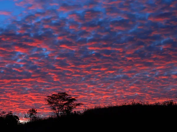 Krajobraz widok zachód słońca z łąka sylwetka — Zdjęcie stockowe