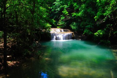 Doğanın güzel ve gölgeli şelaleler
