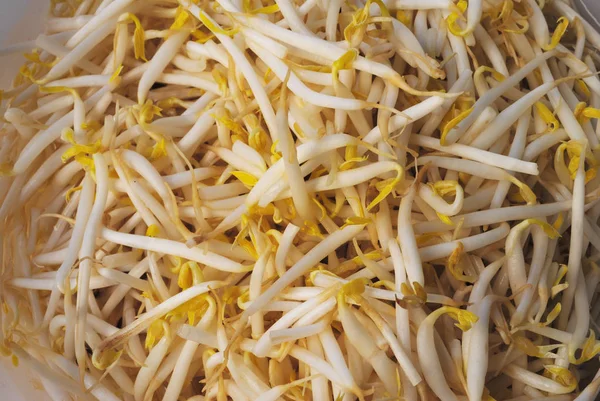 Bean sprouts — Stock Photo, Image