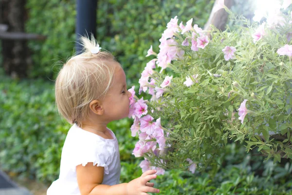 Bebé huele flores en verano — Foto de Stock