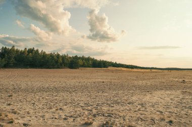 Polonya çölünün güzel imajı Avrupa 'nın en büyüğü.