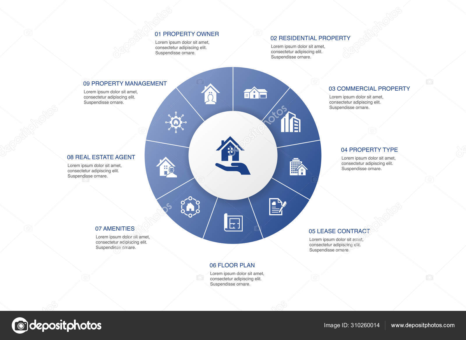 Property Infographic 10 Steps Circle Design Property Type