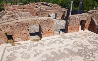 Ostia Antica - antik Neptün termal banyo mozaik. Roma, İtalya