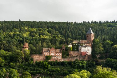 Almanya, Neckar Vadisi 'ndeki Zwingenberg Şatosu
