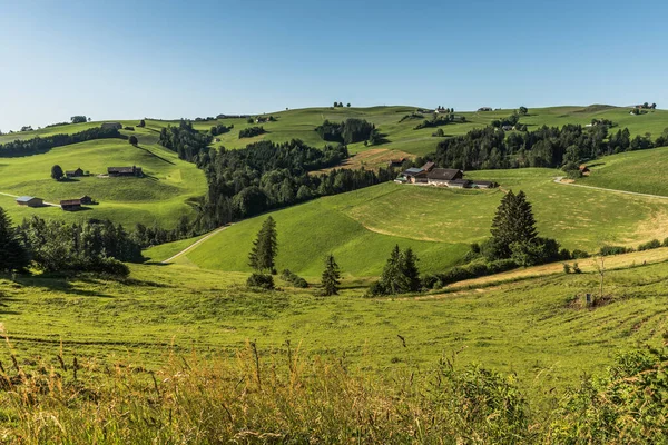 緑の牧草地と農家のあるアッペンツェルランドの風景 カントン アッペンツェル インナー ローズ スイス — ストック写真