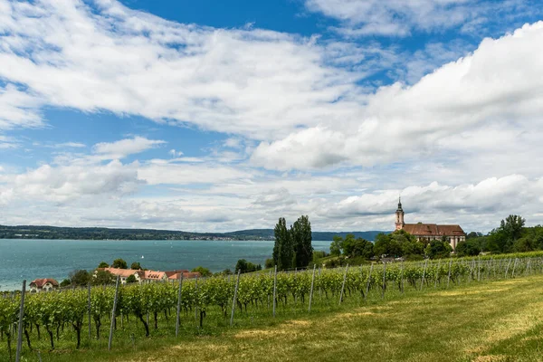 Birnau - 6 Haziran 2020. Basilica Birnau ve üzüm bağlarıyla birlikte Constance Gölü manzarası. Uhldingen-Muehlhofen, Baden-Wuerttemberg, Almanya