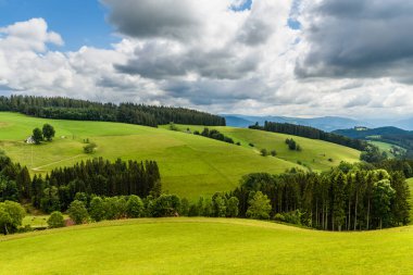 Almanya 'da Baden-Wuerttemberg, Kara Orman' da St. Maergen yakınlarındaki Hilly manzarası