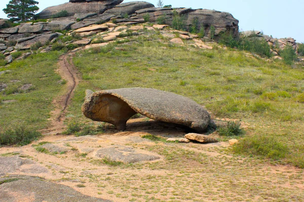 Hermosa Piedra Forma Tortuga Estepa —  Fotos de Stock