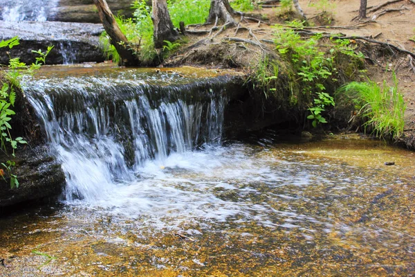 Torrente Con Cascata Una Pineta Kazakistan — Foto Stock