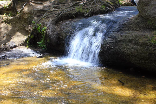 Kazakistan'da bir çam ormanında bir şelale ile dere