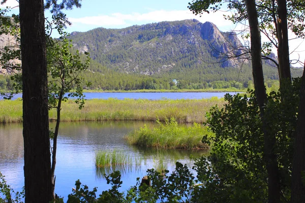 view of the lake through the trees with reflection and the mountain in the background