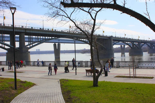 dolgu ve nehir ob üzerinde iki köprü