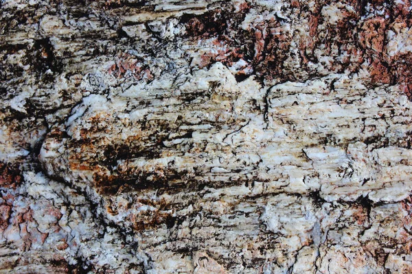 Siyah ve beyaz taşın soyut arkaplanı