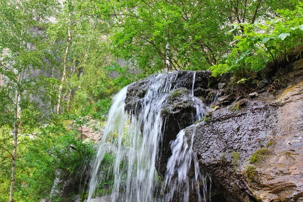 Che Chkysh Waterfall Altai Mountains — Stock Photo, Image