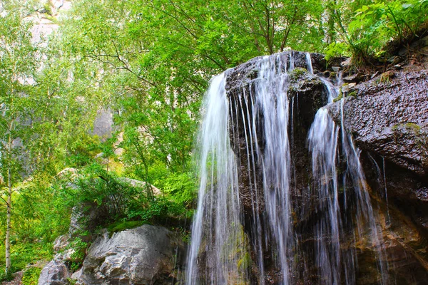 Altay Dağları'nda Che-Chkysh şelalesi