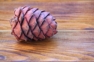 Masada bir kozalak var.