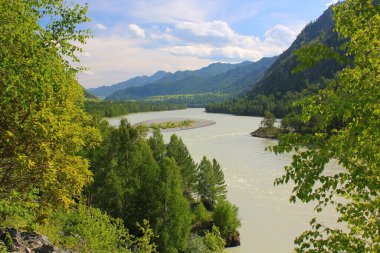 Yazın Altai Dağı 'nda Katun Nehri