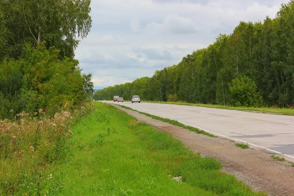 Otoyolda giden arabalar orman kemerlerinden geçiyor.