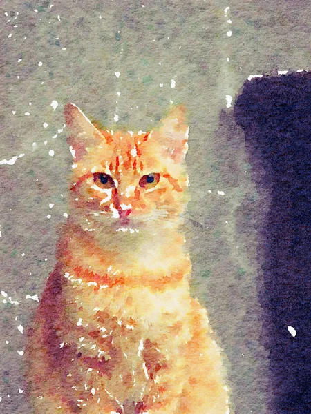 Färgglada Akvarell Handmålad Konst Illustration Katt Kattunge Kitty Högupplöst Illustration — Stockfoto