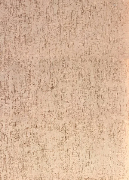 Texture of decorative stucco bark beetle as a background — Stock Image Texture of decorative stucco bark beetle as a background Stock Image