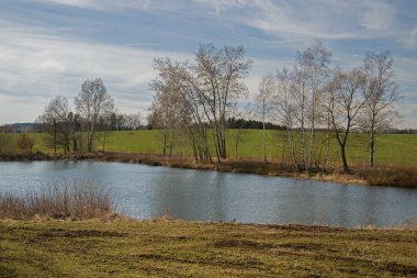 İlkbaharda Bachracek Gölü'nün gölet/göl manzarası. Mavi su ve gökyüzü, yeşil alan ve çimen, üçlü, söğütler.