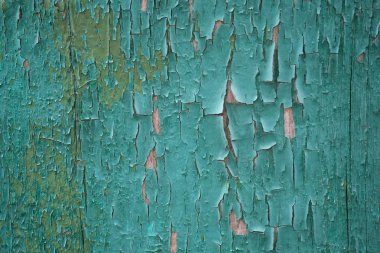 Ahşap bir tahtanın üzerindeki eski soyma boyası. Yeşil boyalı çatlak tahta. Yeşil tahta arkaplan.