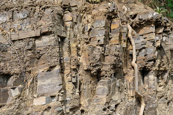 Sheer wall of the mountain. Rocks are visible on a sheer wall. Rock cliff in the thickets of the botanical garden in Tbilisi, Georgia. Surface of rocks wall