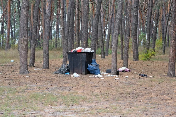 一个铁垃圾箱矗立在针叶林里 铁壶里塞满了垃圾 垃圾到处都是 环境保护 垃圾处理 — 图库照片