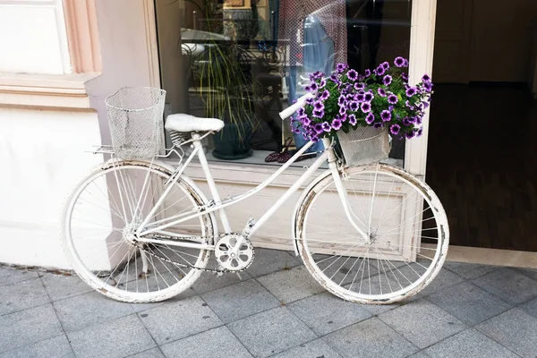 这辆旧自行车漆成了白色 上面有一个灰色的花篮 作为咖啡店外部装饰的自行车和灯笼草在上面 — 图库照片