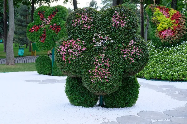 Summer composition in a city park made of flowers. Flowers and plants laid out in the form of a large flower. Alley decoration with flower arrangements floristry, landscape design